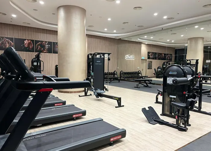 Alacarte Panaroma 2 Premium